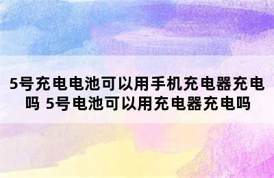 5号充电电池可以用手机充电器充电吗 5号电池可以用充电器充电吗